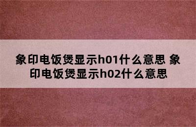 象印电饭煲显示h01什么意思 象印电饭煲显示h02什么意思